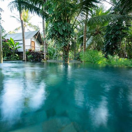 Ubud Tropical Luaran gambar