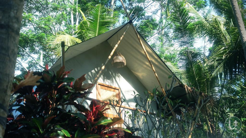 Ubud Tropical Luaran gambar