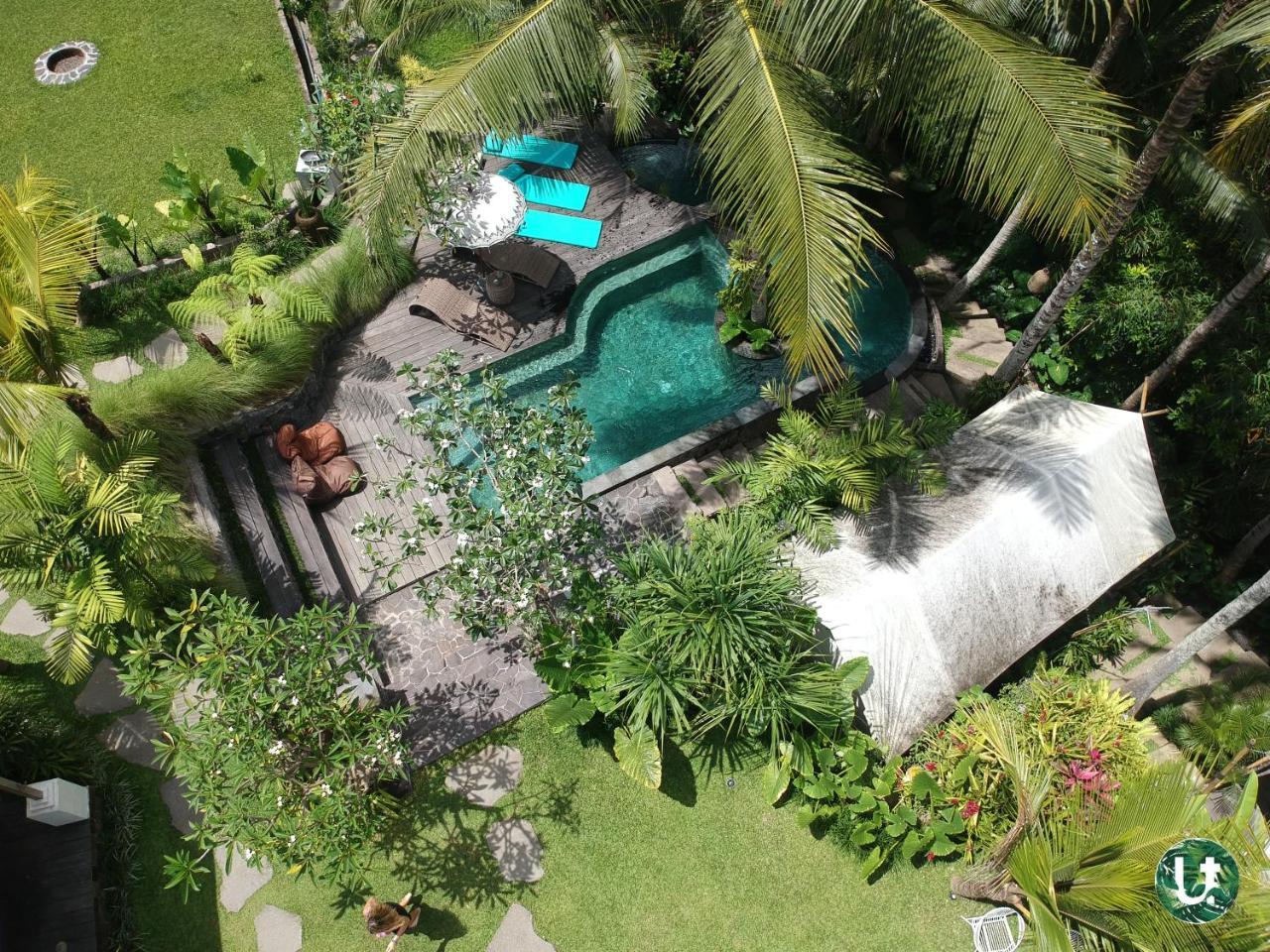 Ubud Tropical Luaran gambar