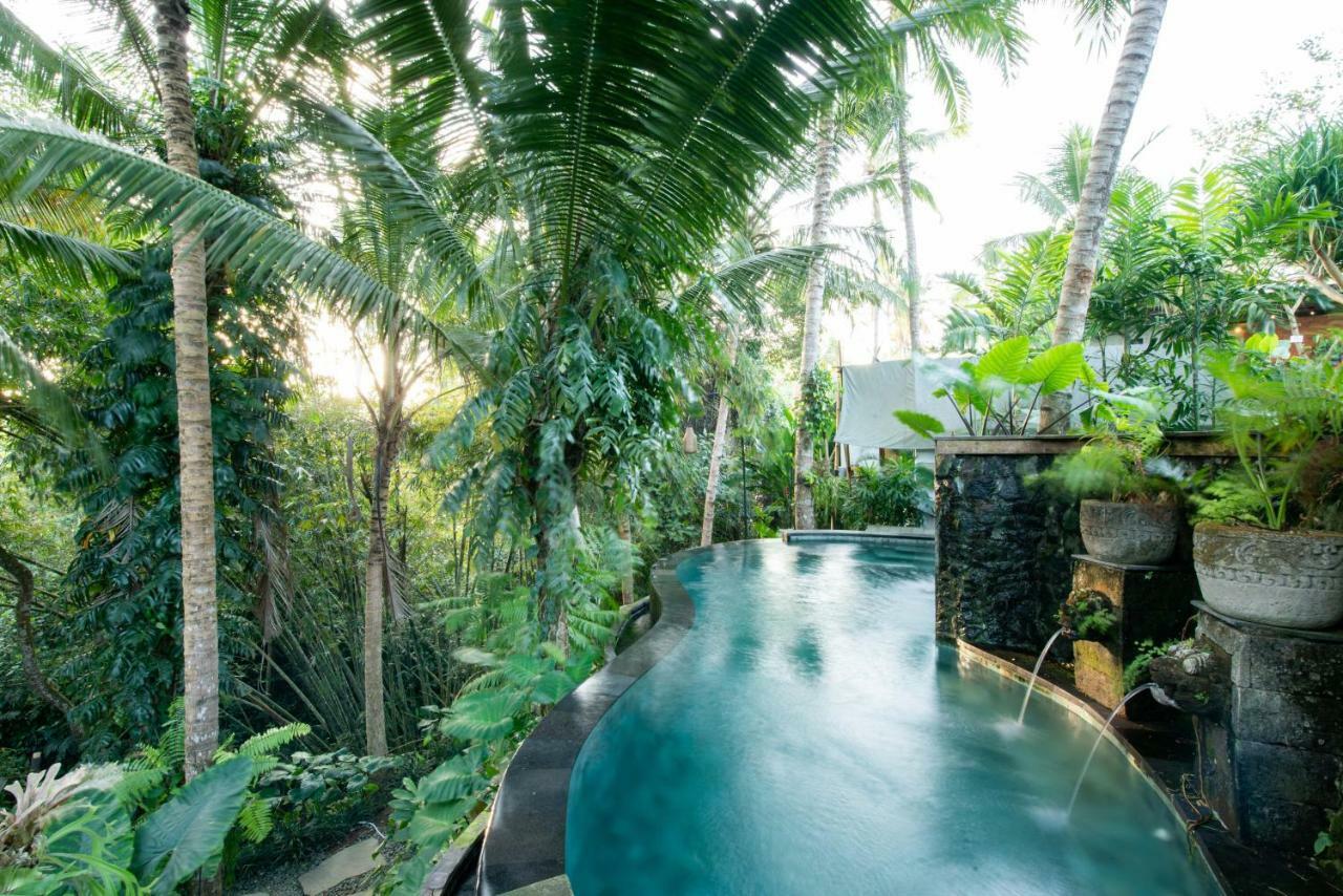 Ubud Tropical Luaran gambar