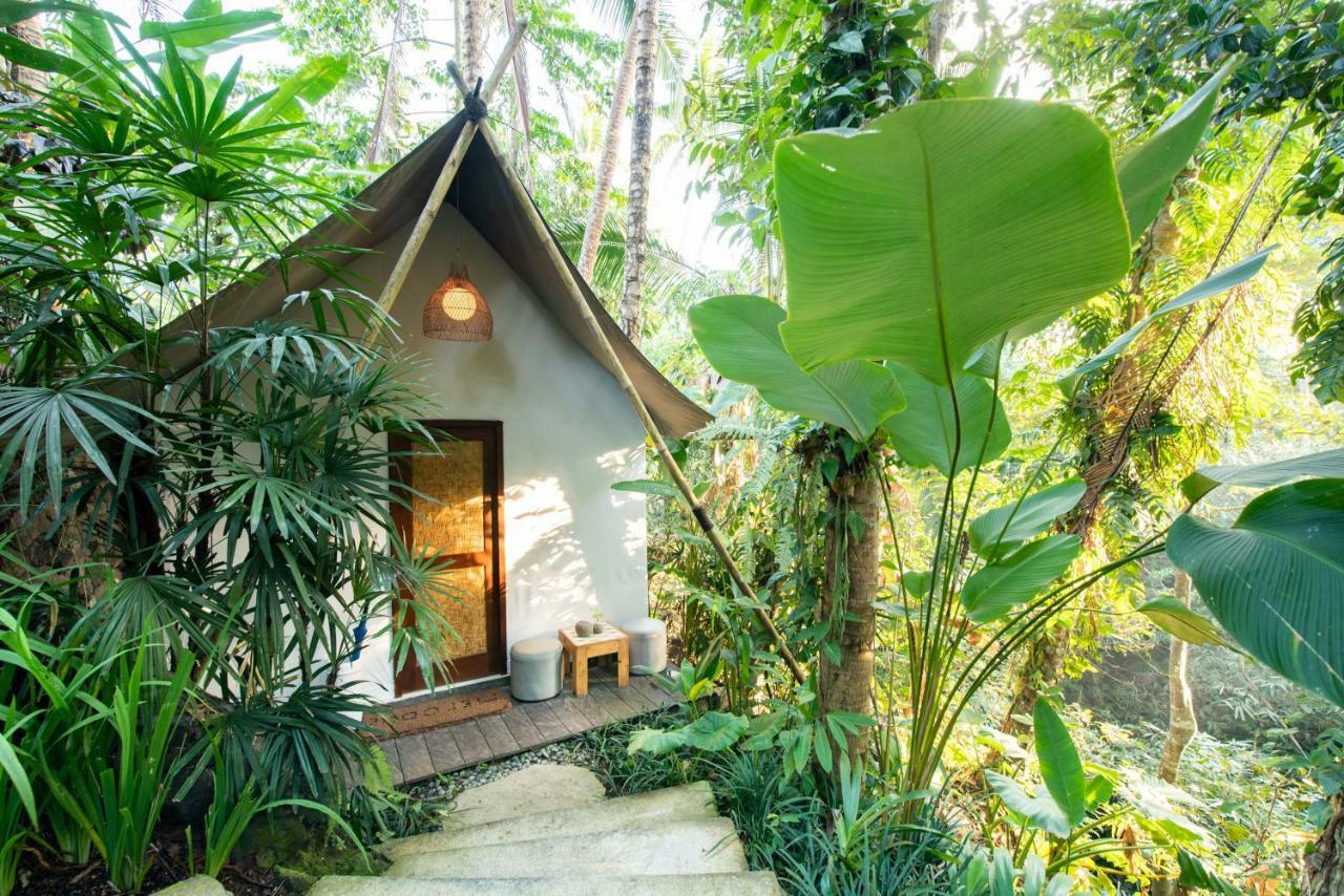 Ubud Tropical Luaran gambar